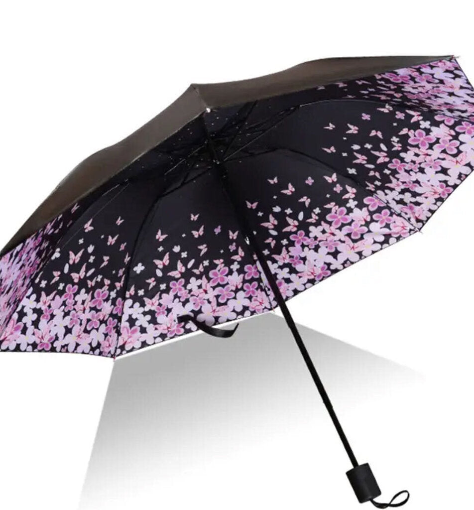 Umbrella, Butterflies