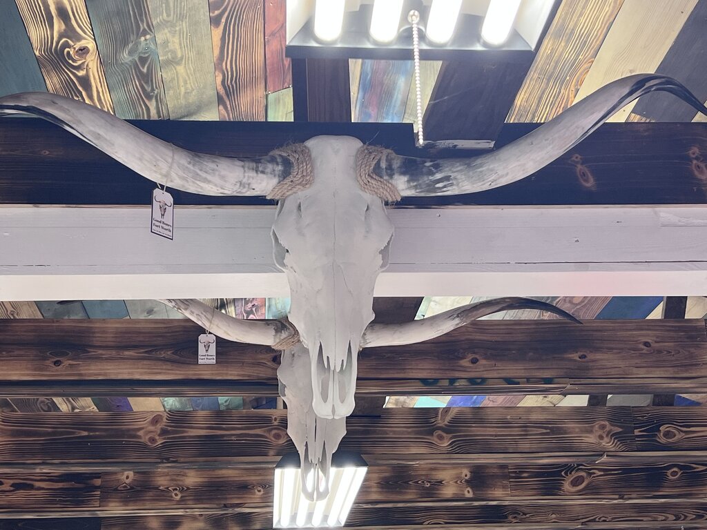 Skull