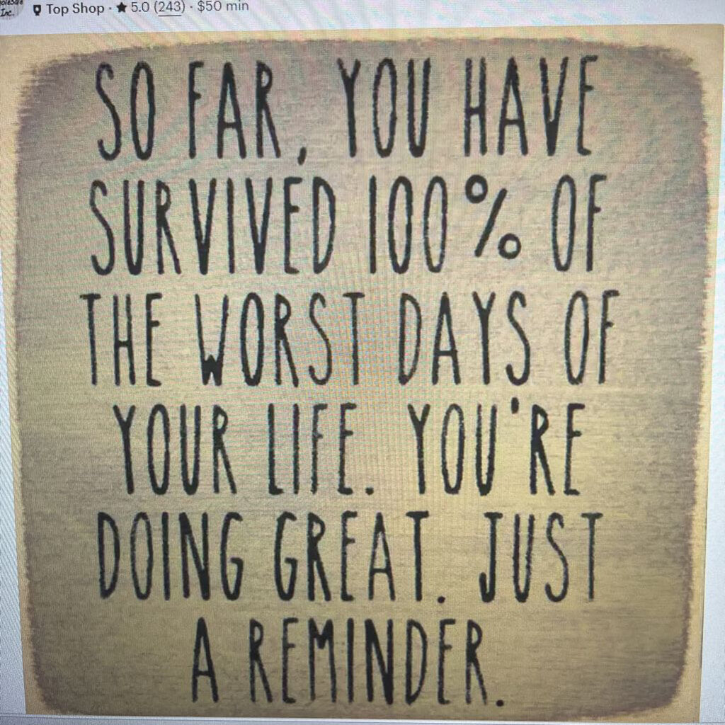 BLOCK-SURVIVED 100% BAD DAYS