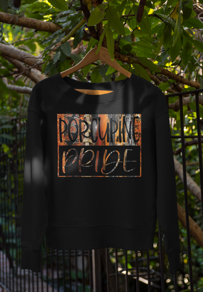 SP1030 - Porcupine Pride Brush