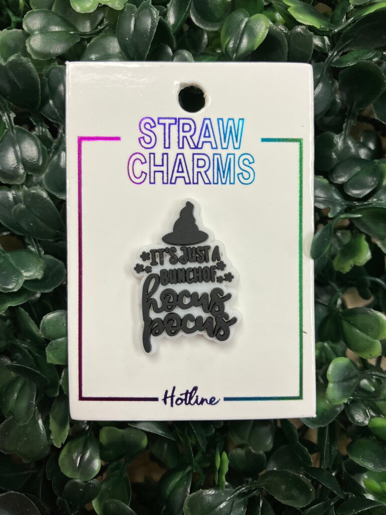 Hocus Pocus Straw Charm