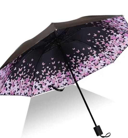 Umbrella, Butterflies