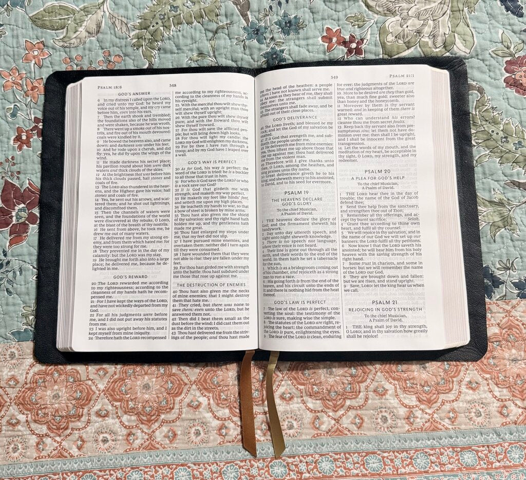 Ostrich leather Bible Rebind with goatskin lining Thomas Nelson Thinline KJV