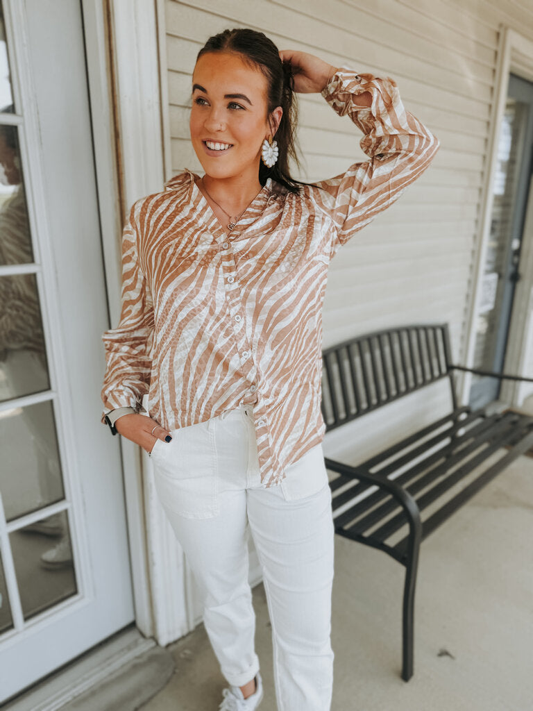 Zebra Dreams
