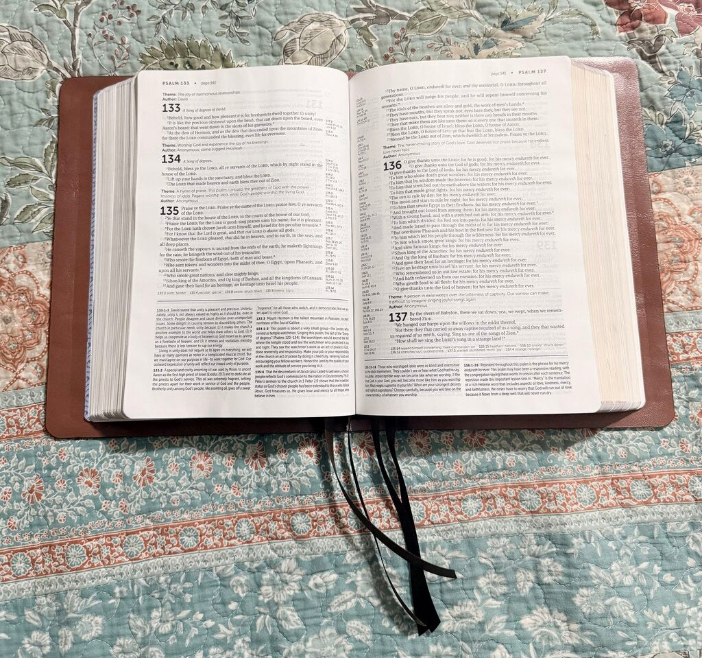 Goatskin bible rebind of Tindale Life Application Study Bible KJV