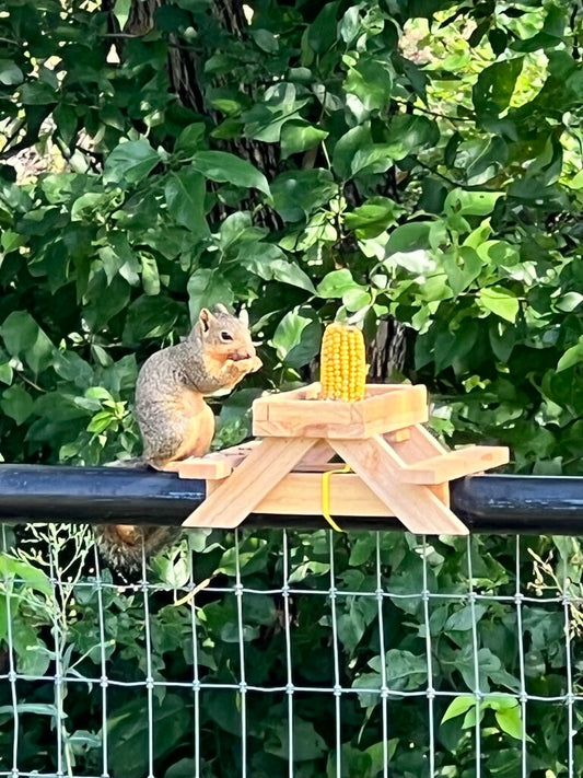 Squirl feeder for 1