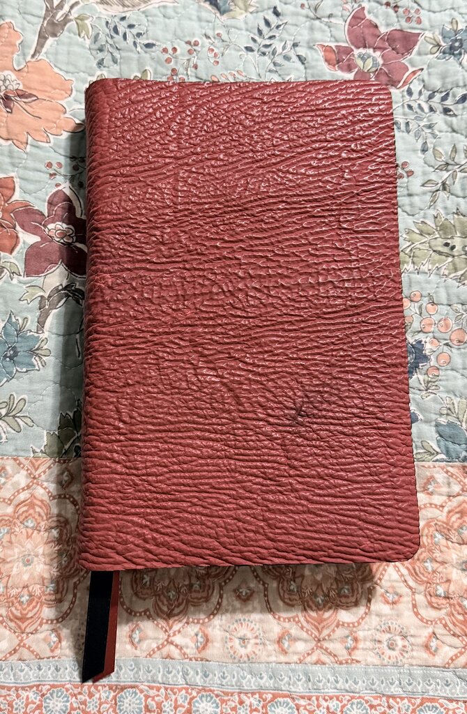 Shark leather Bible rebind Thomas Nelson Single Column KJV