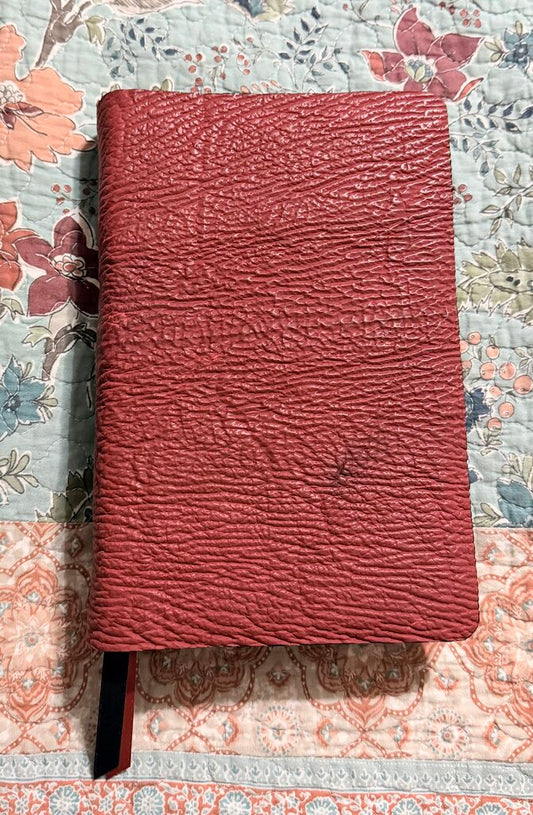 Shark leather Bible rebind Thomas Nelson Single Column KJV