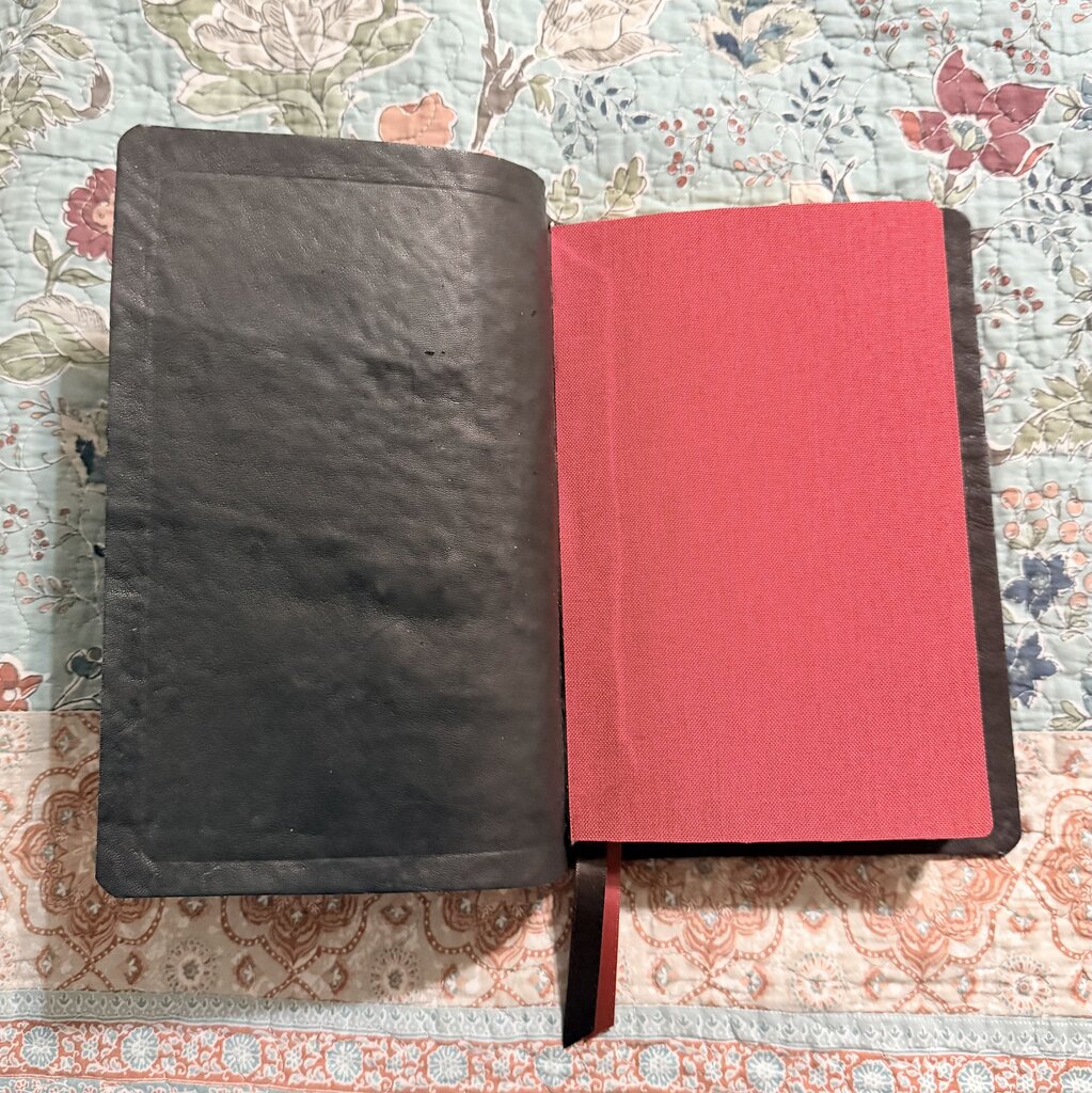 Shark leather Bible rebind Thomas Nelson Single Column KJV