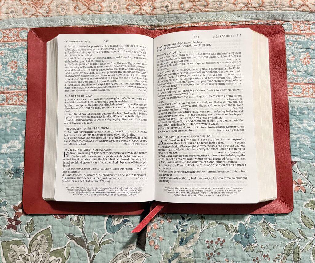 Crocodile/Lambskin leather Bible rebind Thomas Nelson Single Column KJV