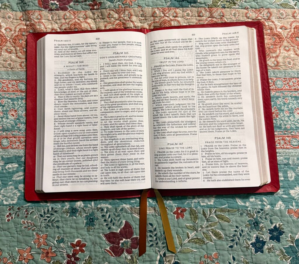 Crocodile/Shark leather Bible rebind Thomas Nelson Thinline KJV
