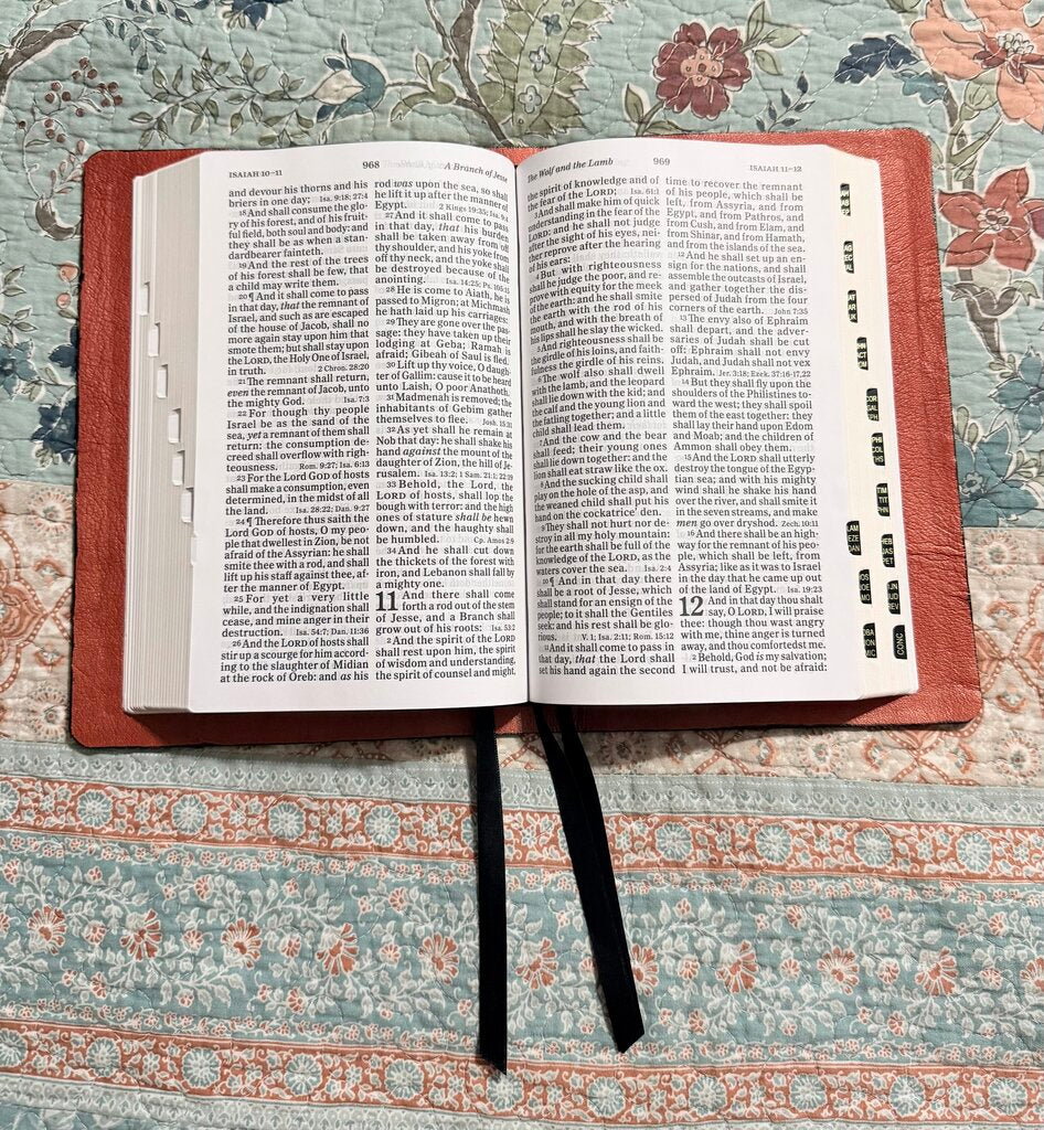 Crocodile/Shark Bible Rebind, Goatskin Lining, Holman Personal Size Large Print KJV