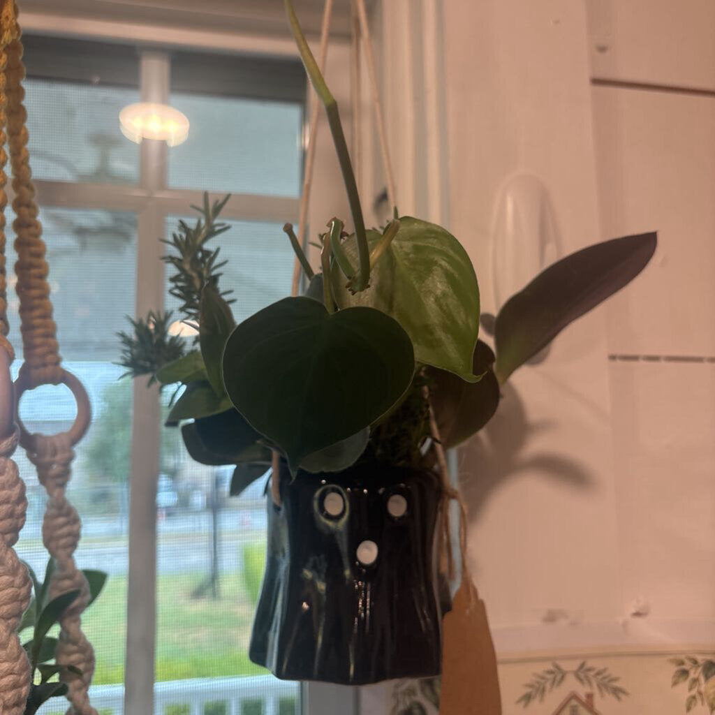 Hanging Ghost Cutting Bouquet